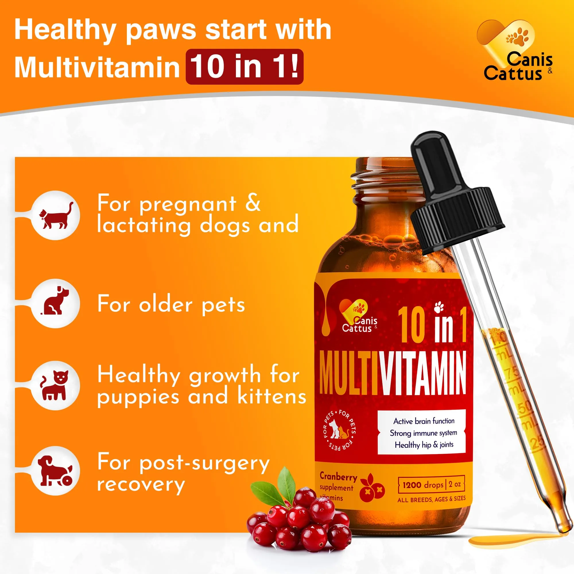 10 In 1 Cat & Dog Multivitamin - Hip & Joint Vitamins For Dogs   Vitamins C, D, B1-12 - Cranberry Supplement For Dogs & Cat Vitamins - Bladder, Kidney, Skin, Joint Support - Glucosamine Dog Supplement