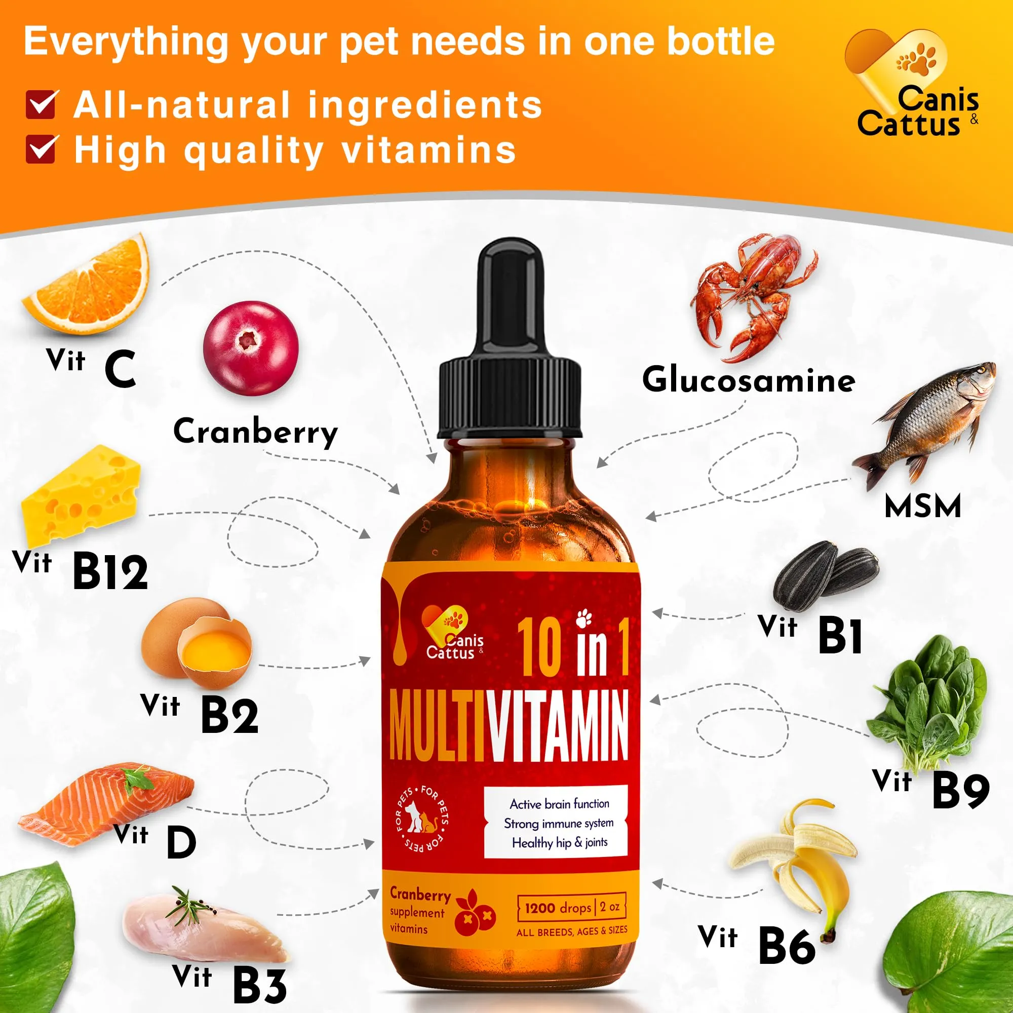 10 In 1 Cat & Dog Multivitamin - Hip & Joint Vitamins For Dogs   Vitamins C, D, B1-12 - Cranberry Supplement For Dogs & Cat Vitamins - Bladder, Kidney, Skin, Joint Support - Glucosamine Dog Supplement
