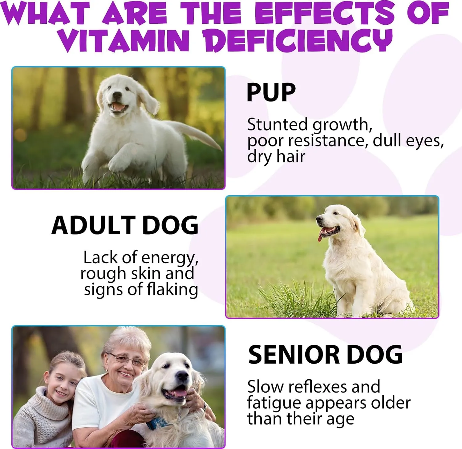 15 in 1 Dog Multivitamin Drops for Dogs - Dog Vitamins & Supplements Natural Dog Multivitamins and Minerals - Glucosamine, MSM for Skin & Coat, Heart Health, Bones, Joint, Immune System Support