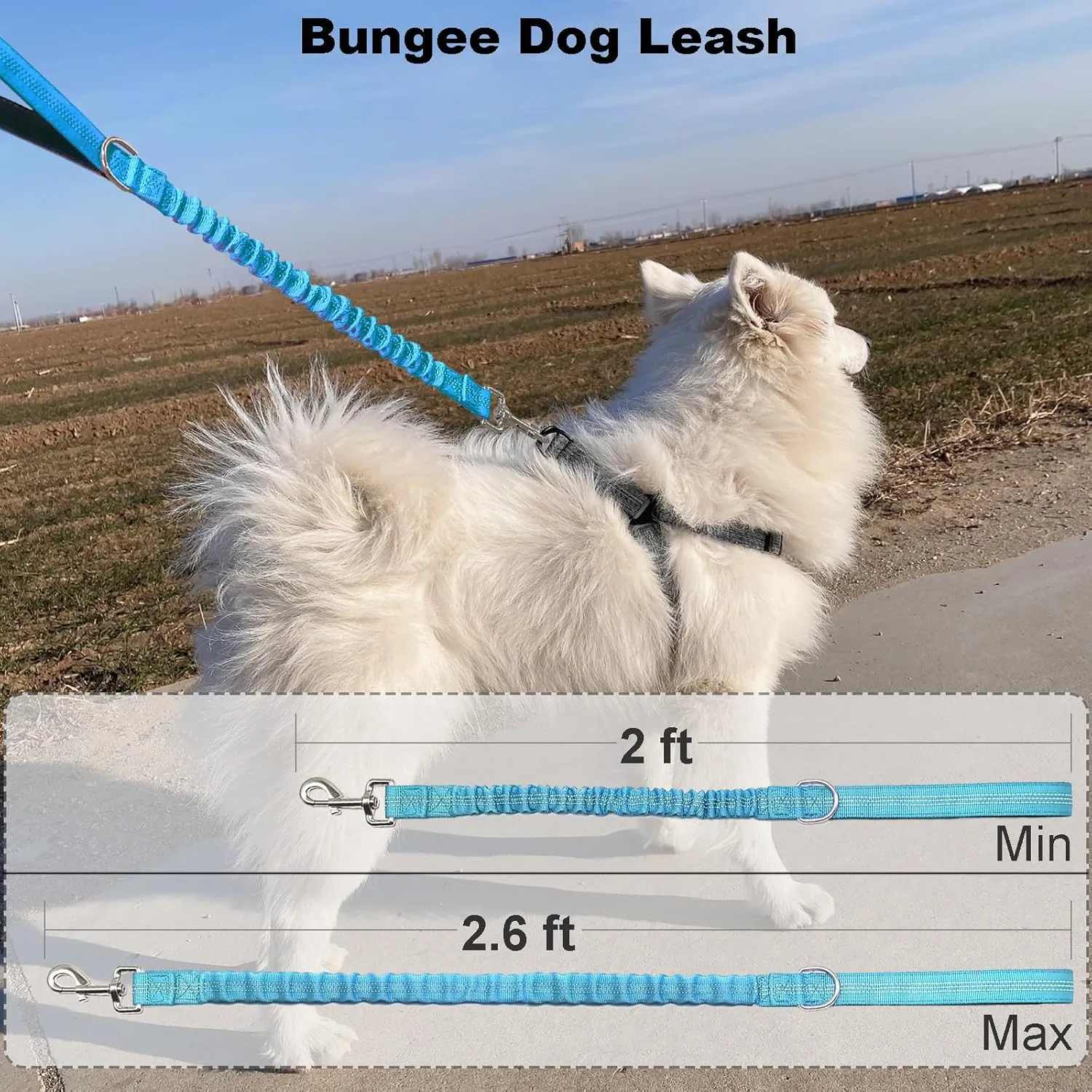 2 FT Bungee Dog Leash, Highly Reflective Strong Nylon Traffic Leash, Short Shock Absorbing Lead for Large Medium Dogs Walking Training Controlling