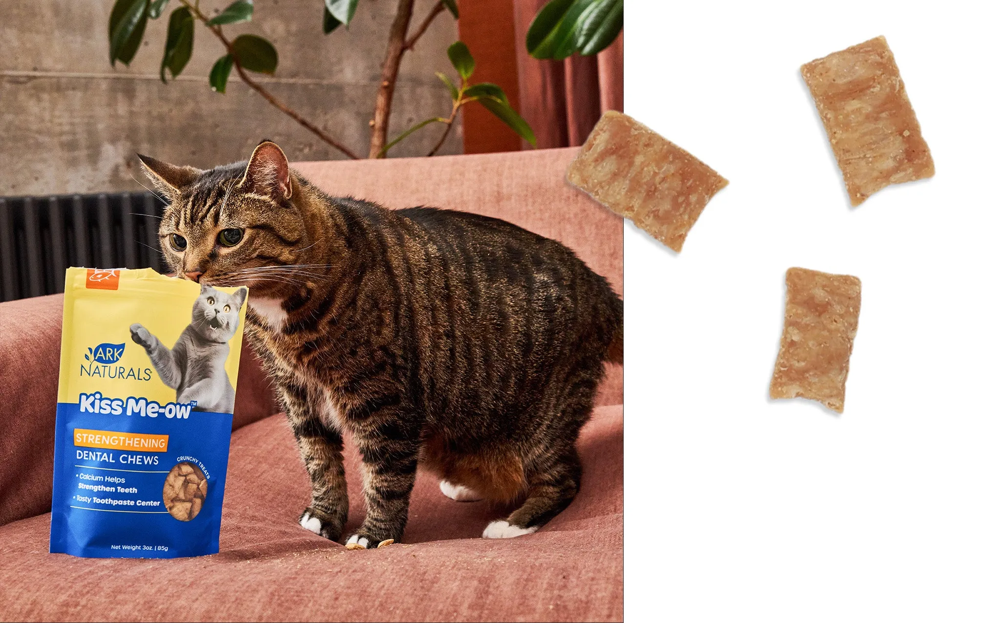 Ark Naturals Kiss Me-Ow Strengthening Dental Chews