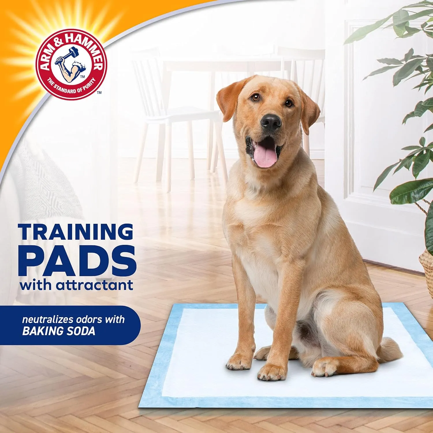 Arm & Hammer for Dogs Puppy Training Pads with Attractant | New & Improved Super Absorbent, Leak-Proof, Odor Control Quilted Puppy Pads with Baking Soda | 10 Count - 24 Pack Bulk Wee Wee Pads,White