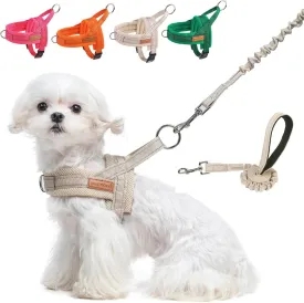 BEAUTYZOO Dog Harness for Small Dogs, No Pull Dog Harness and Leash Set, Soft Escape Proof Puppy Vest Harness with Handle, Reflective Lightweight Step in Harness for Girl Boy Dogs, Beige XS