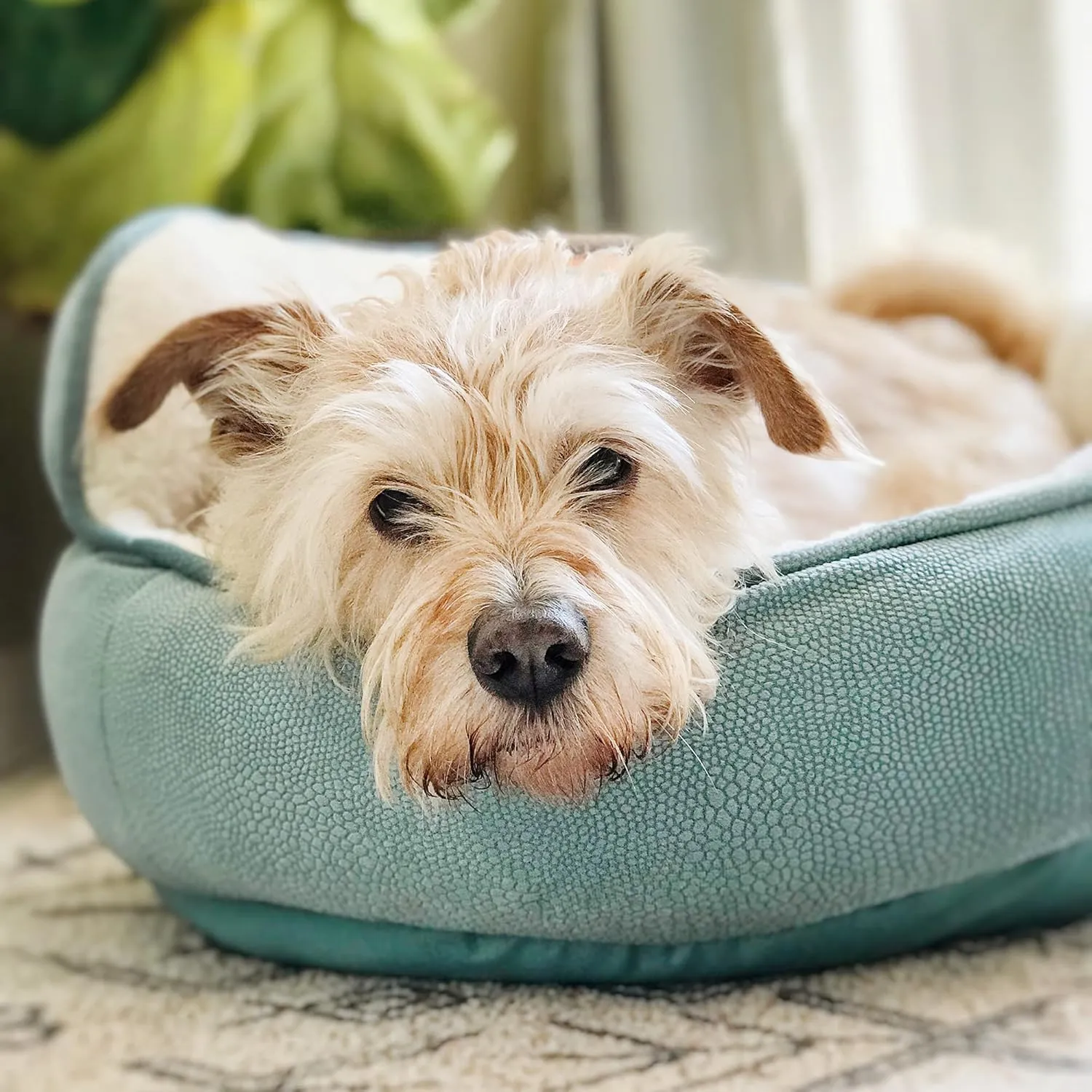 Best Friends by Sheri Pet Throne High Bolster Orthopedic Relief Cat and Dog Bed, Gray, Mini