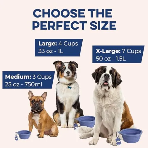 Bonza by Leashboss Small Collapsible Dog Bowl, Sturdy Reinforced Rim, includes Carabiner & Water Bottle Holder Keychain, Black