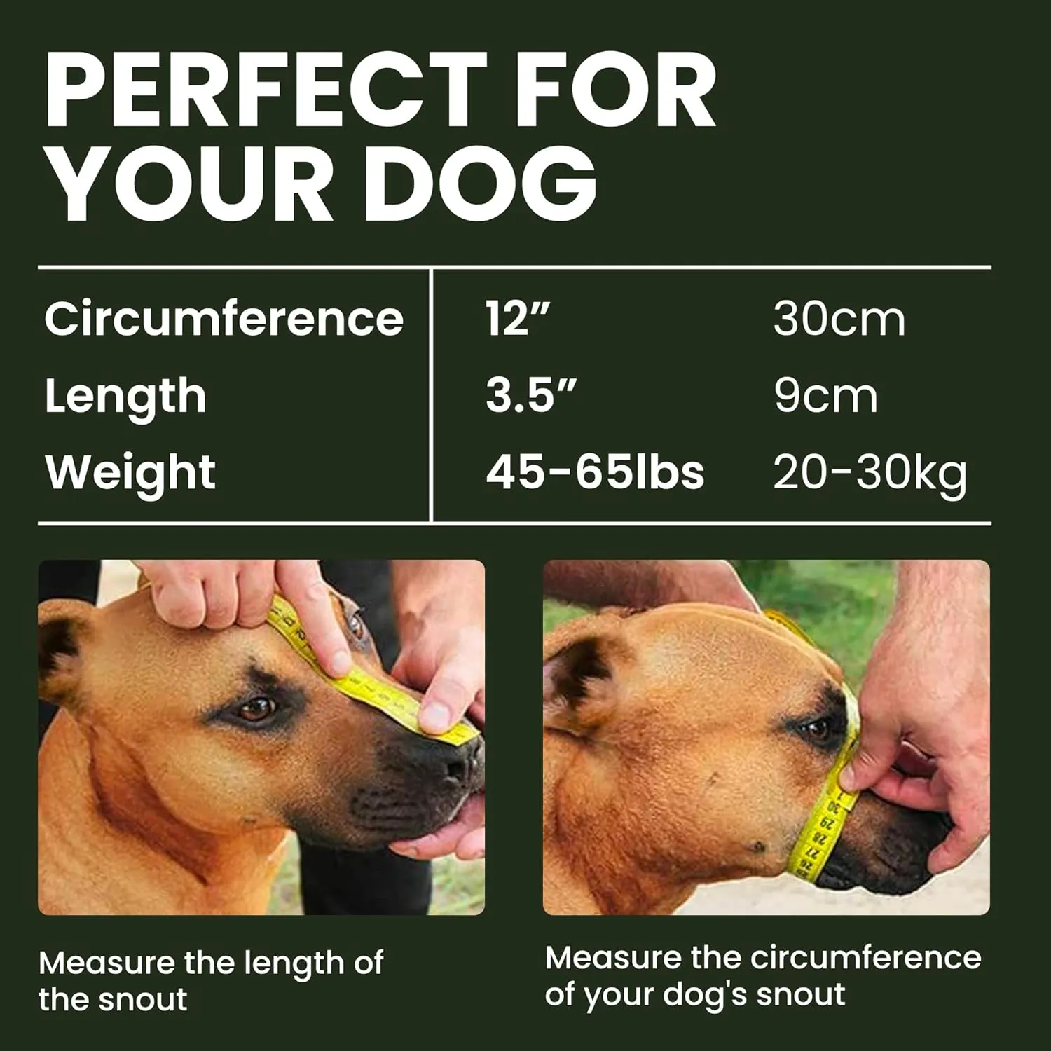 BRONZEDOG Pitbull Dog Muzzle Breathable Metal Basket for Large Dogs Amstaff Staffordshire Terrier Biting Chewing Barking (Leather, Black)
