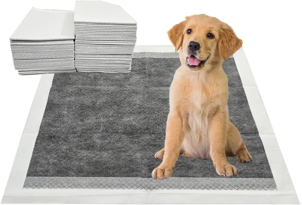 Charcoal Puppy Pee Pads, 100 Count 22 x 22 Inch Leak-Proof Pet Training Pads for Dogs, Quick Absorb 6-Layer Design, Ideal for Puppies, Cats, Rabbits, and Guinea Pigs