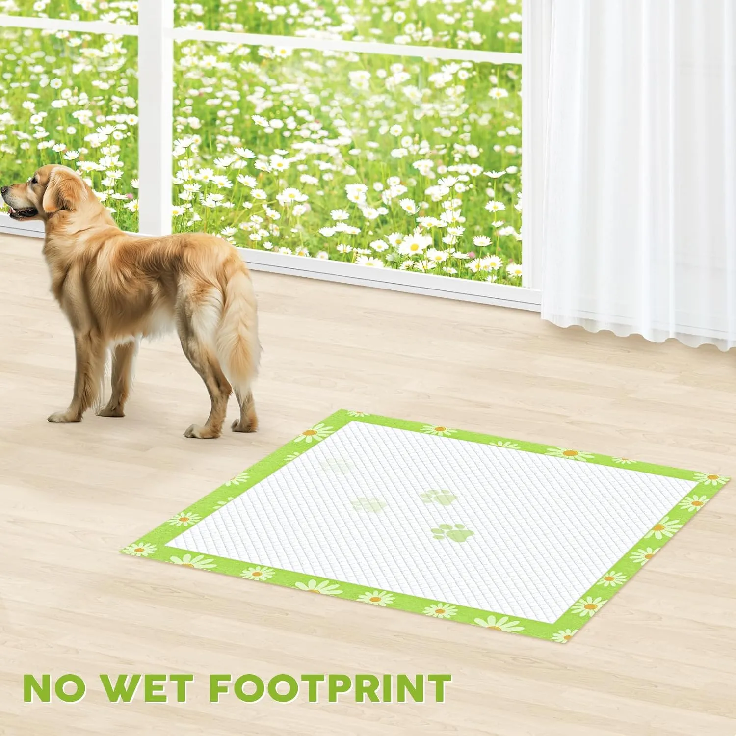 CROCI Pee Pads for Dogs 36x36in Daisy Fragrance, Odor Eliminating Dog Pads Super Absorption Up to 11 Cups Urine, Leak-Poof & Quick Dry Disposable (30 Counts)