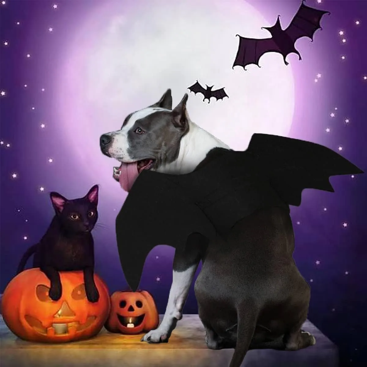 Dog Bat Costume, Halloween Pet Costumes Dog Bat Wings, Cosplay Cat Dog Costume Party Clothes Funny Outfit Cool Apparel for Small Medium Large Dogs Cats (XL)