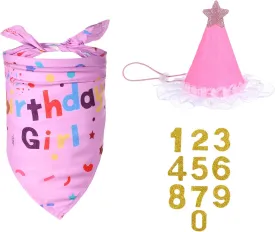 Dog Birthday Hats Supplies, Birthday Dog Bandana Set, Dogs Party Hat with Numbers Stickers for Small, Medium, Large Dogs Pets (Blue)