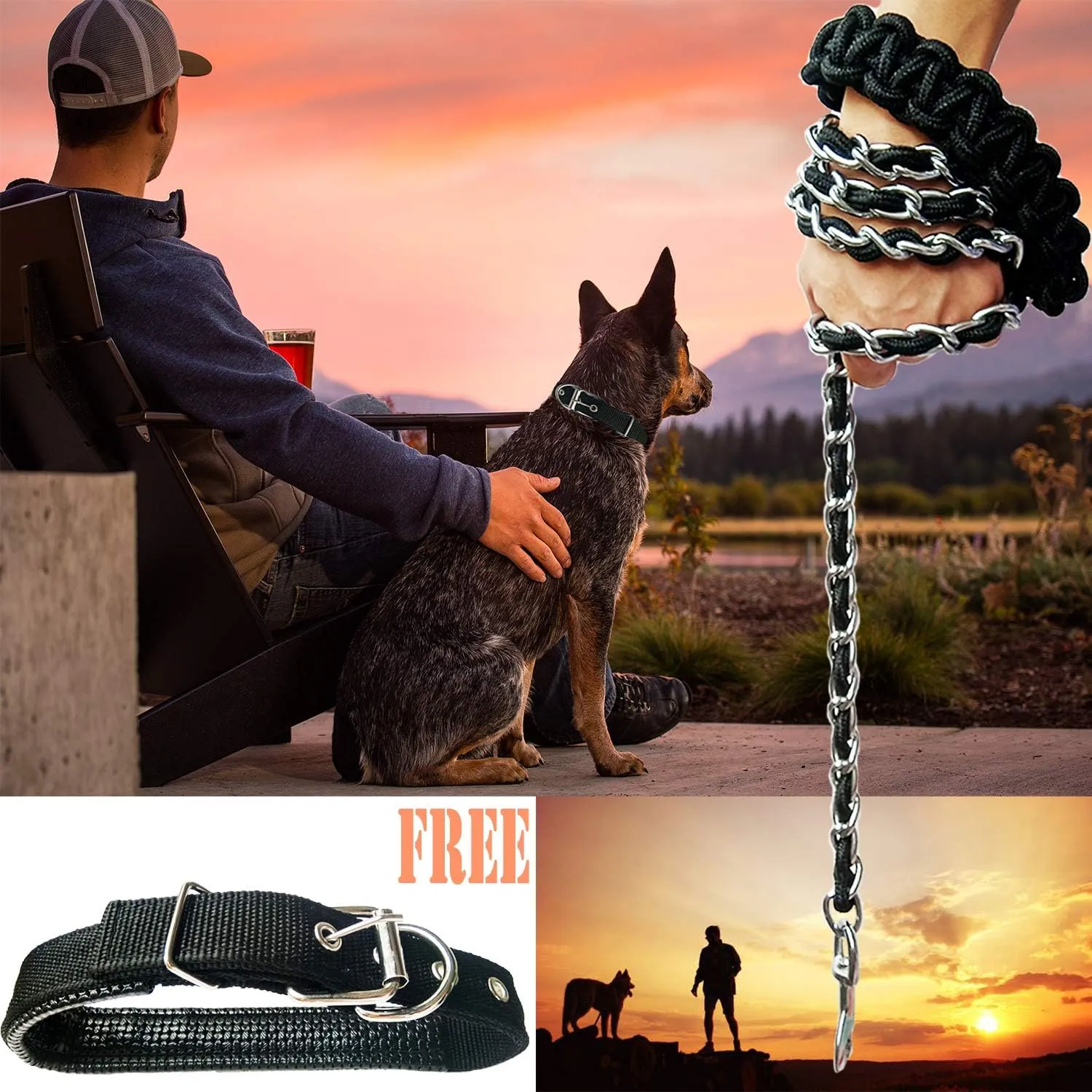 Dog Leash Metal Leashes Chain Rope with Pet Collar Training Walking Leads Heavy Duty Anti Bite 360 Hook for Medium and Large Dogs (Large)