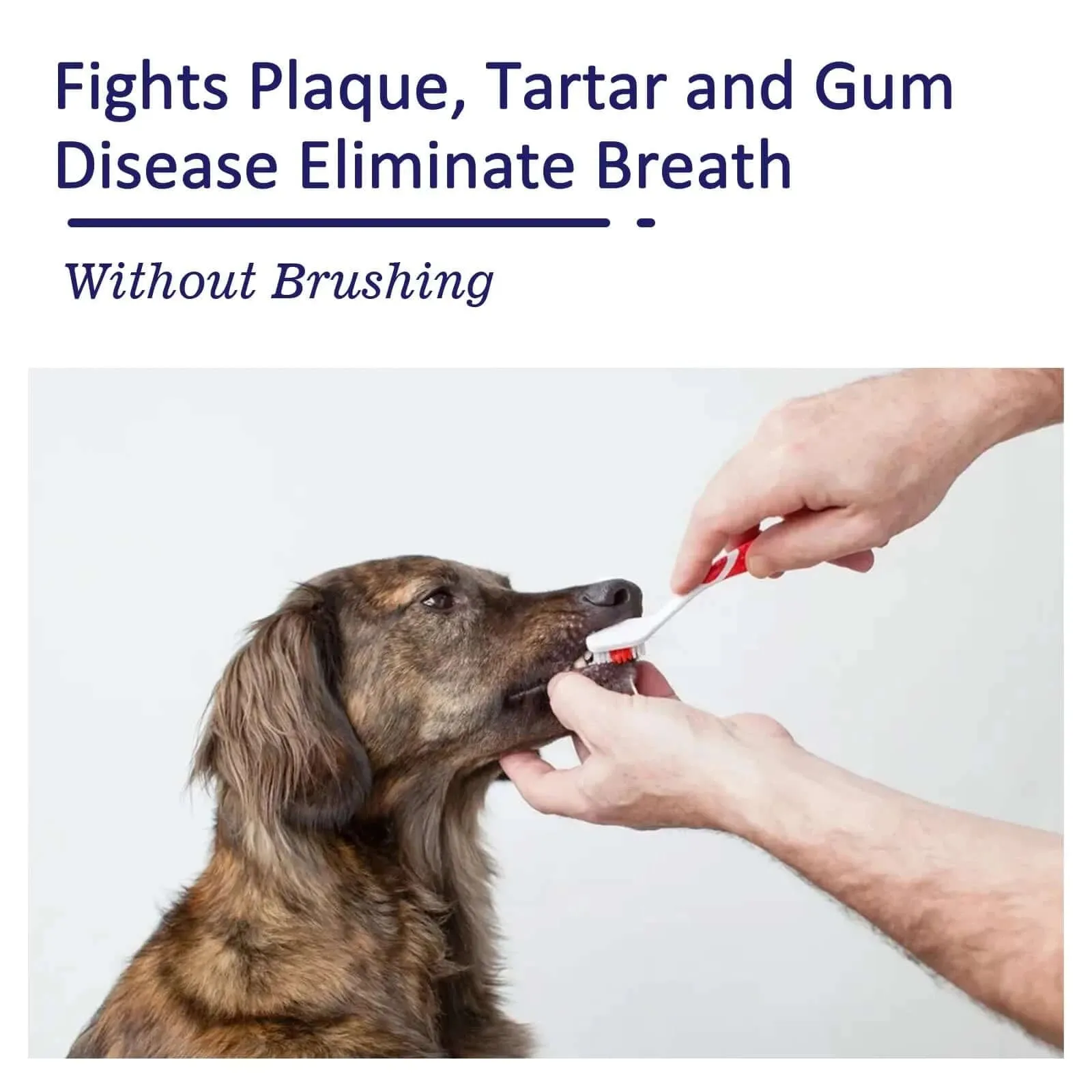 Dog Toothpaste
