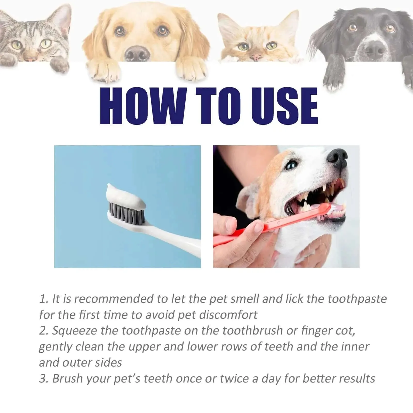 Dog Toothpaste