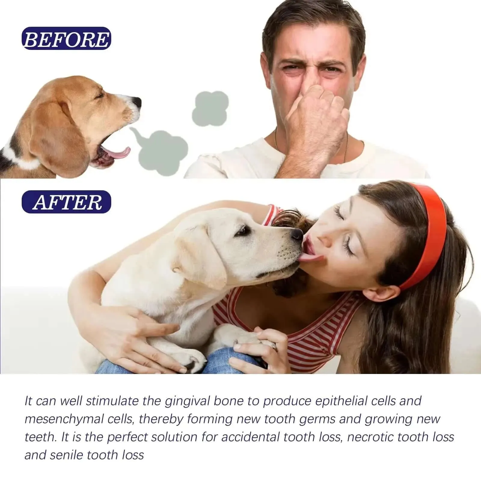 Dog Toothpaste