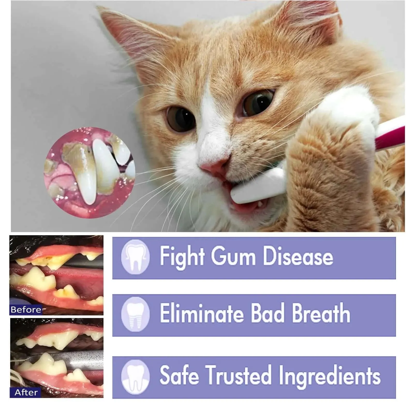 Dog Toothpaste