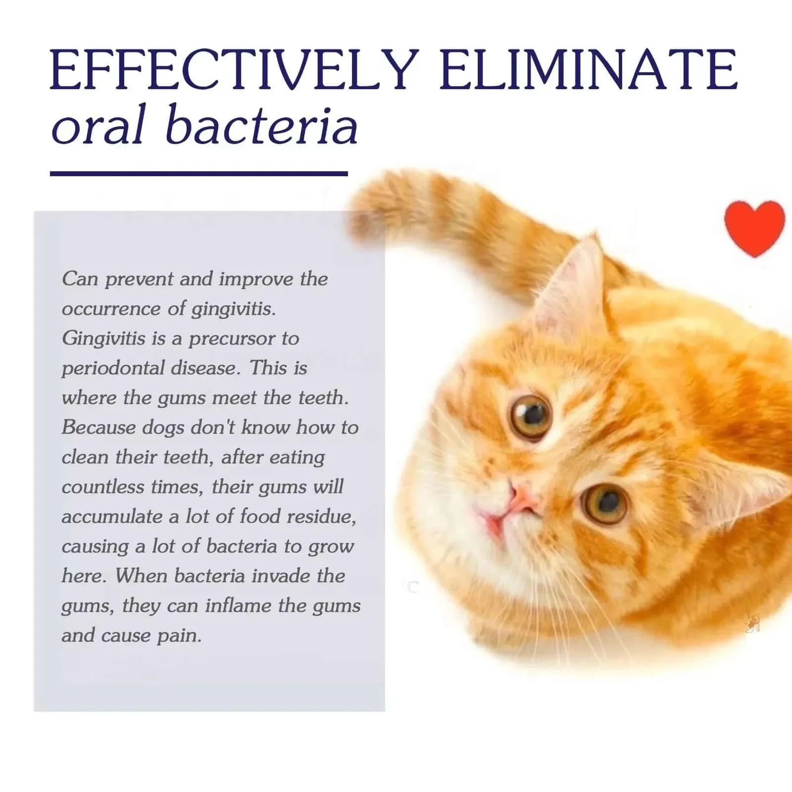 Dog Toothpaste
