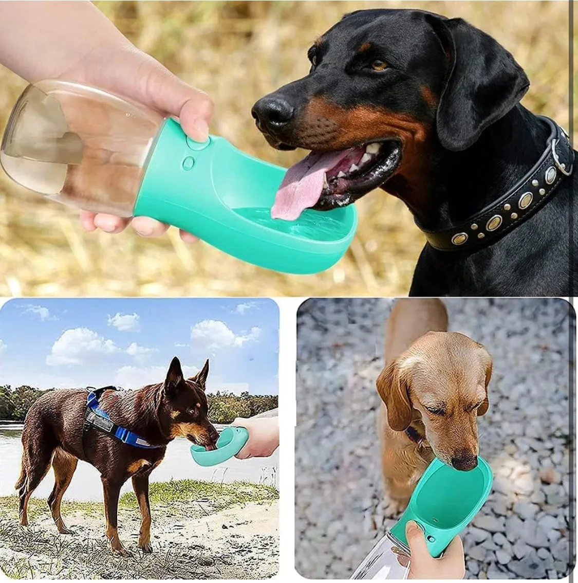 Dog Water Bottle - Portable