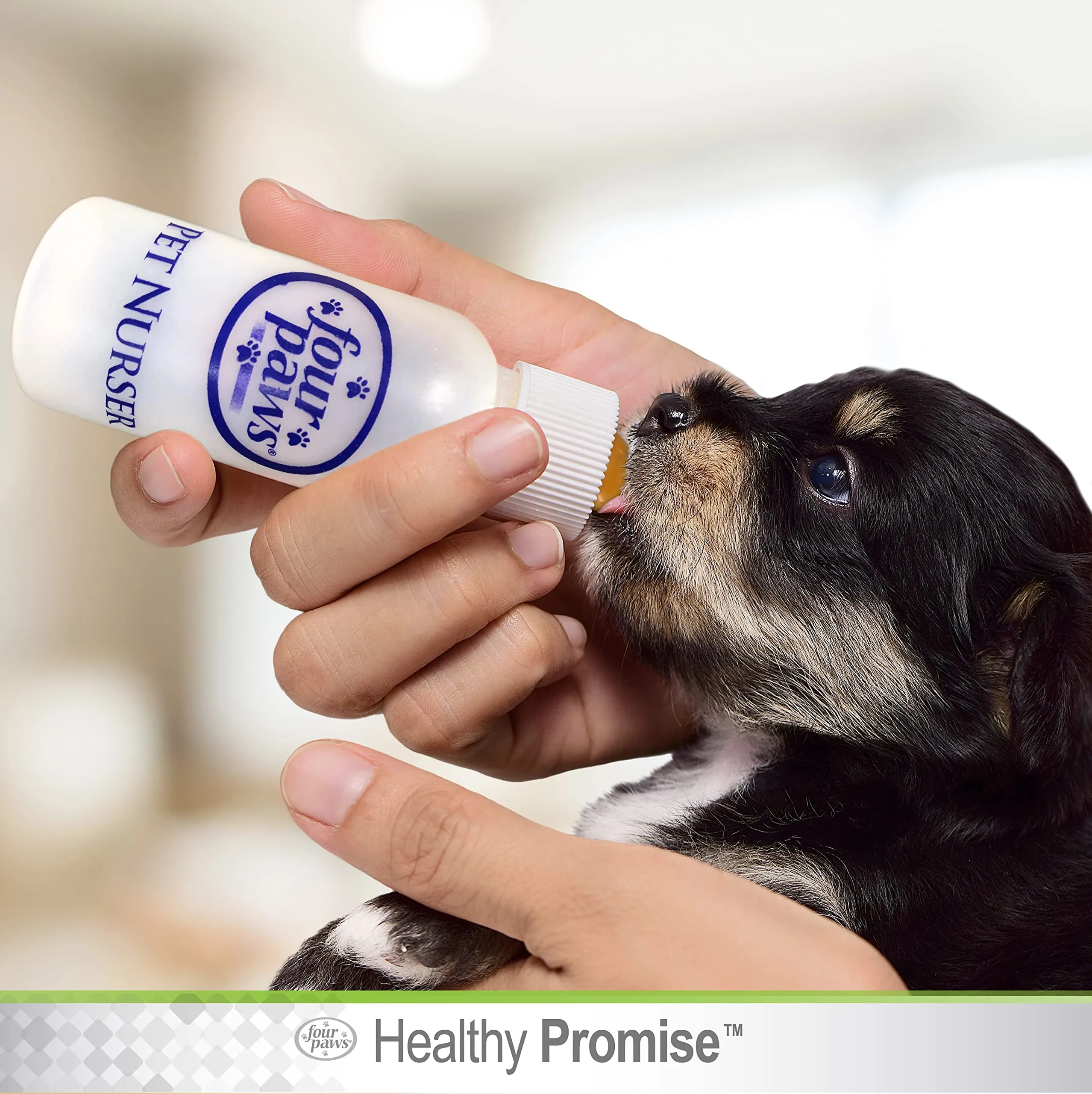 Four Paws | Pet Nurser Bottle, Teat & Brush Kit | Hand Rearing Puppy & Kitten Set