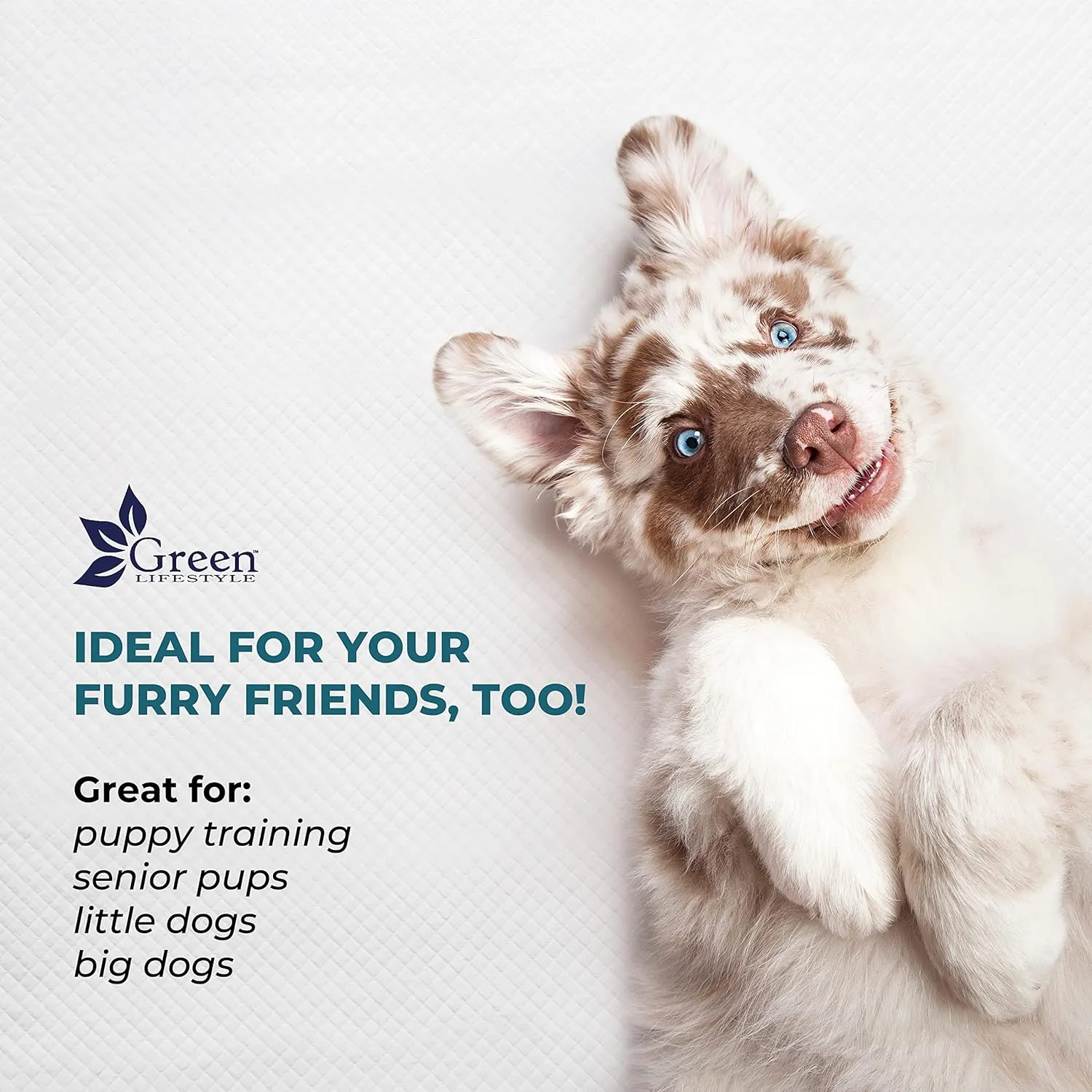 GREEN LIFESTYLE Underpads - Chucks Pads Disposable Adults, for use as Incontinence, Pet, Pee Pads for Dogs, Cats, Bunny, Seniors (Pack of 50 - 36x36)