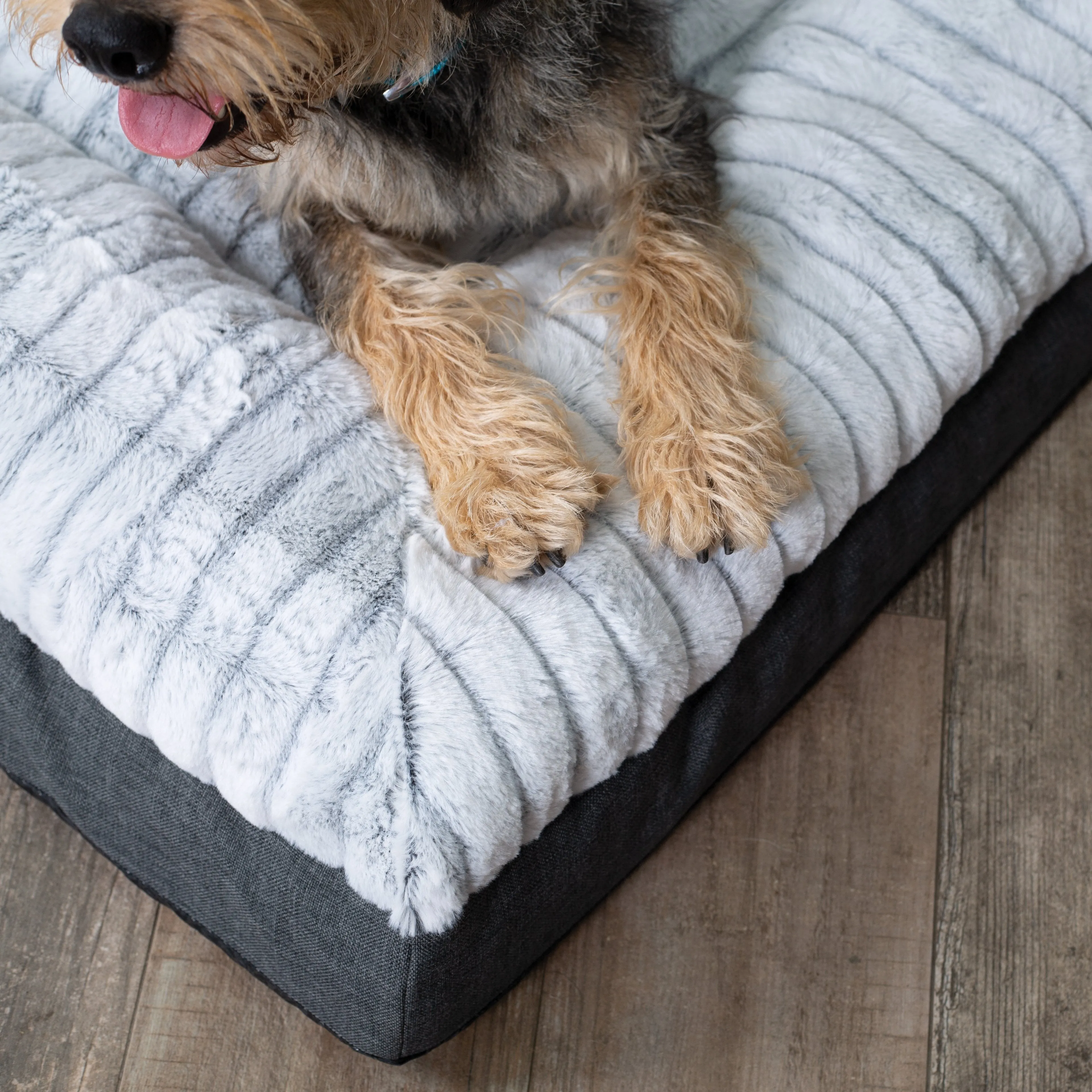 Kazoo Cloud Comfort Large Grey Dog Bed^^^