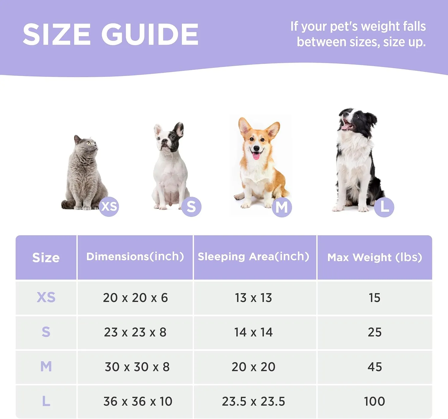 Lesure Donut Medium Dog Bed - Round Cat Beds for Indoor Cats Calming Pet Beds, Cute Modern Beds with Jacquard Shaggy Plush & Anti Slip Bottom, 30 Inch, Purple