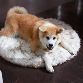 Luxury Faux Fur Orthopedic Dog Bed Donut, Memory Foam Circle Bed for Small, Medium, Large and XL Pets, Fluffy Pet Rug with Waterproof and Washable Soft Cover, Bone White