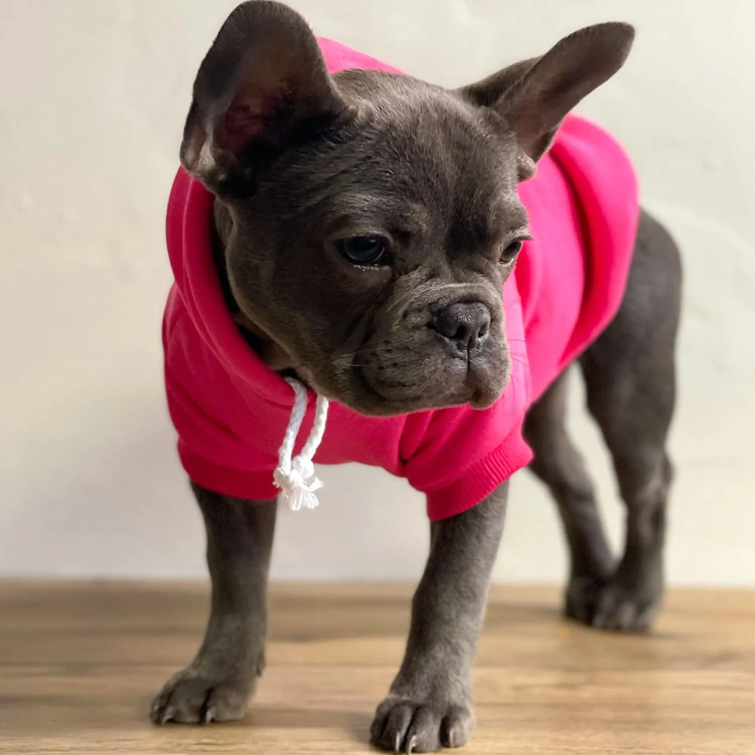 Miss Melt Your Heart Valentine's Day Dog Hoodie Fleece Lined Pullover Sweatshirt with Leash Hole (Baby Pink, X-Small 1199)