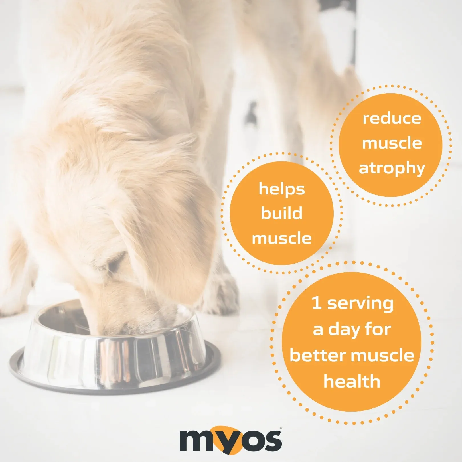 MYOS Canine Muscle Formula