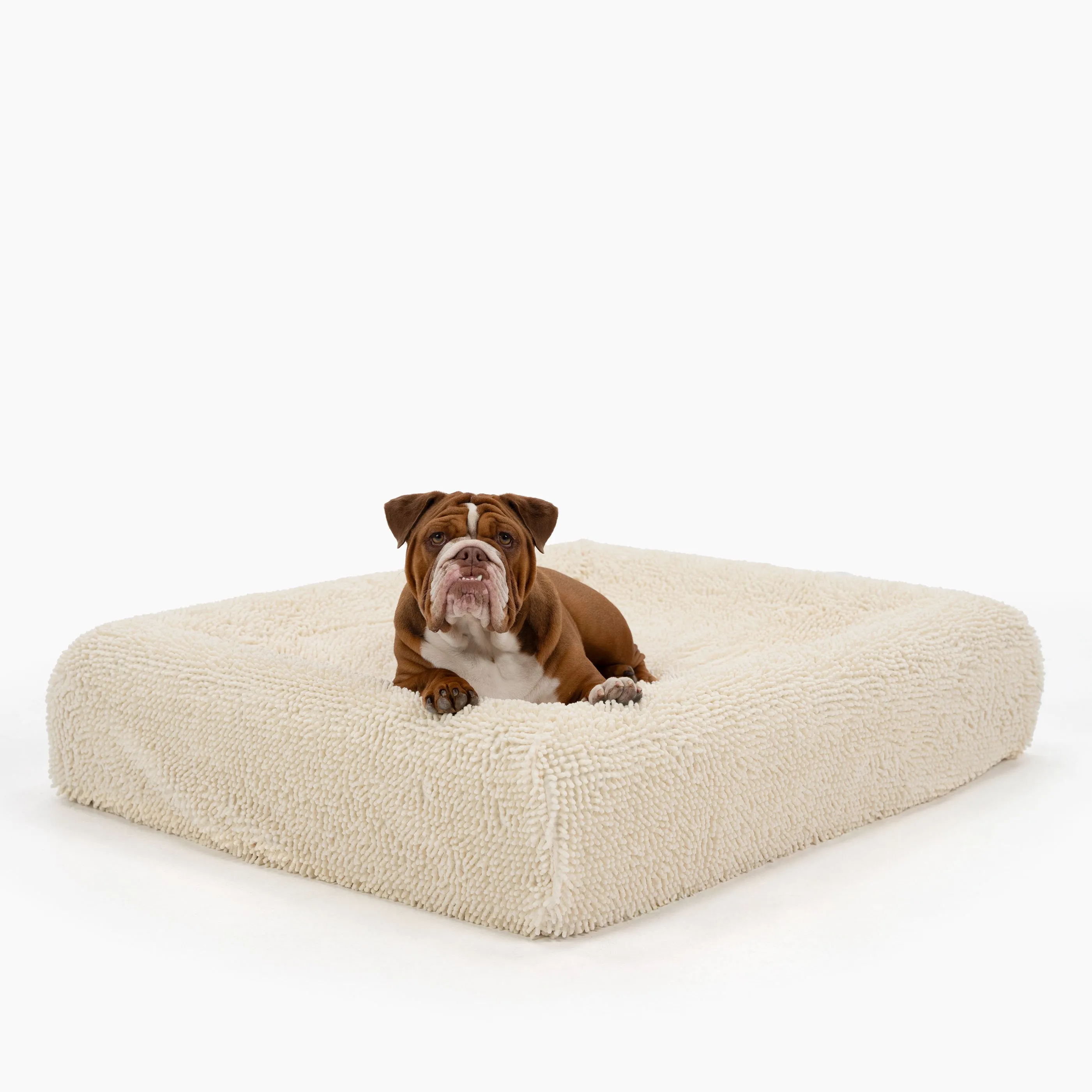 Orthopedic Memory Foam Dog Bed - Cream (Large)