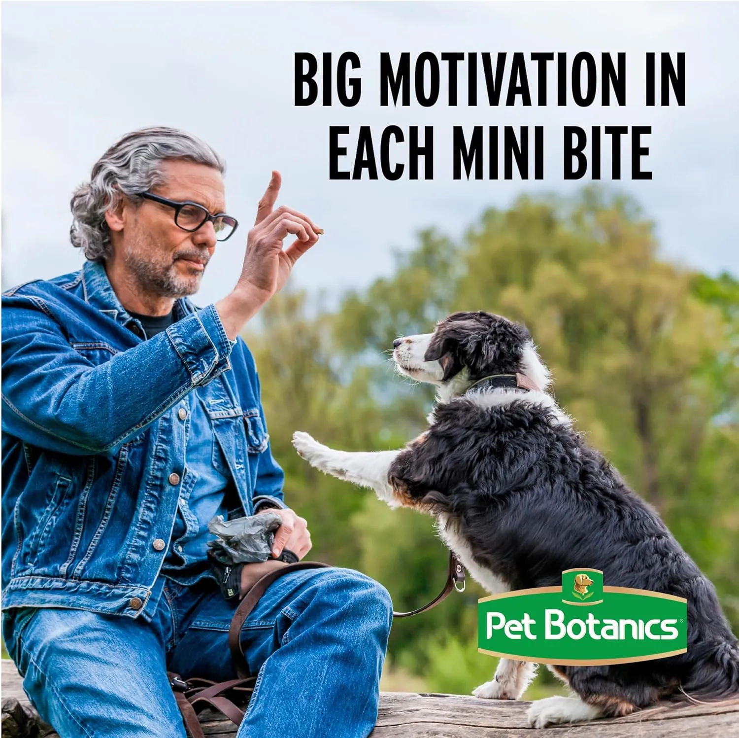 Pet Botanics Training Rewards Soft & Chewy Chicken Flavor Large Bites (20 oz)