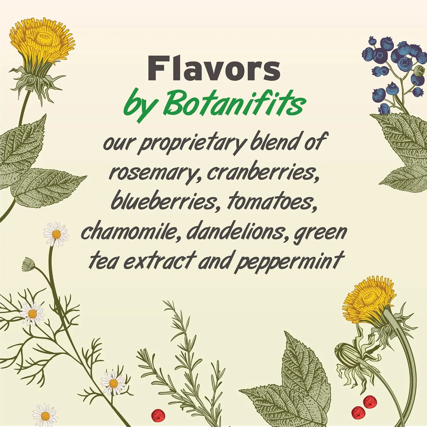 Pet Botanics Training Rewards Soft & Chewy Chicken Flavor Large Bites (20 oz)