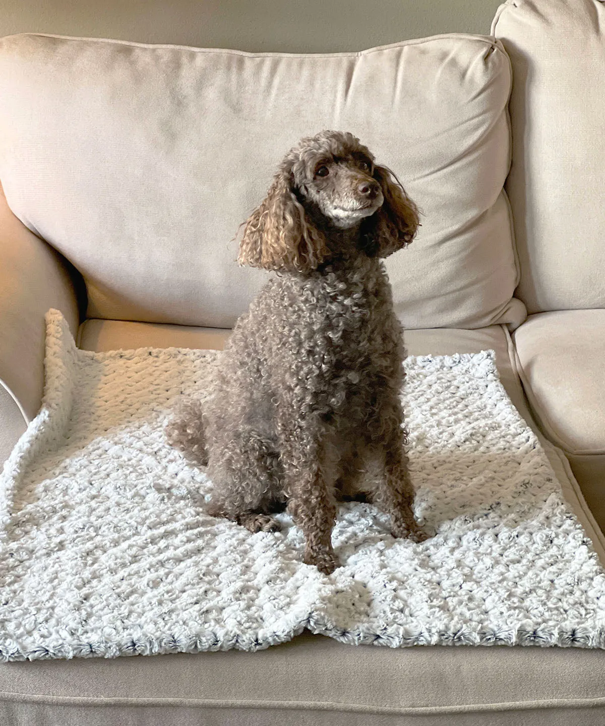 Pet / Dog Blanket - Rosebud Faux Fur