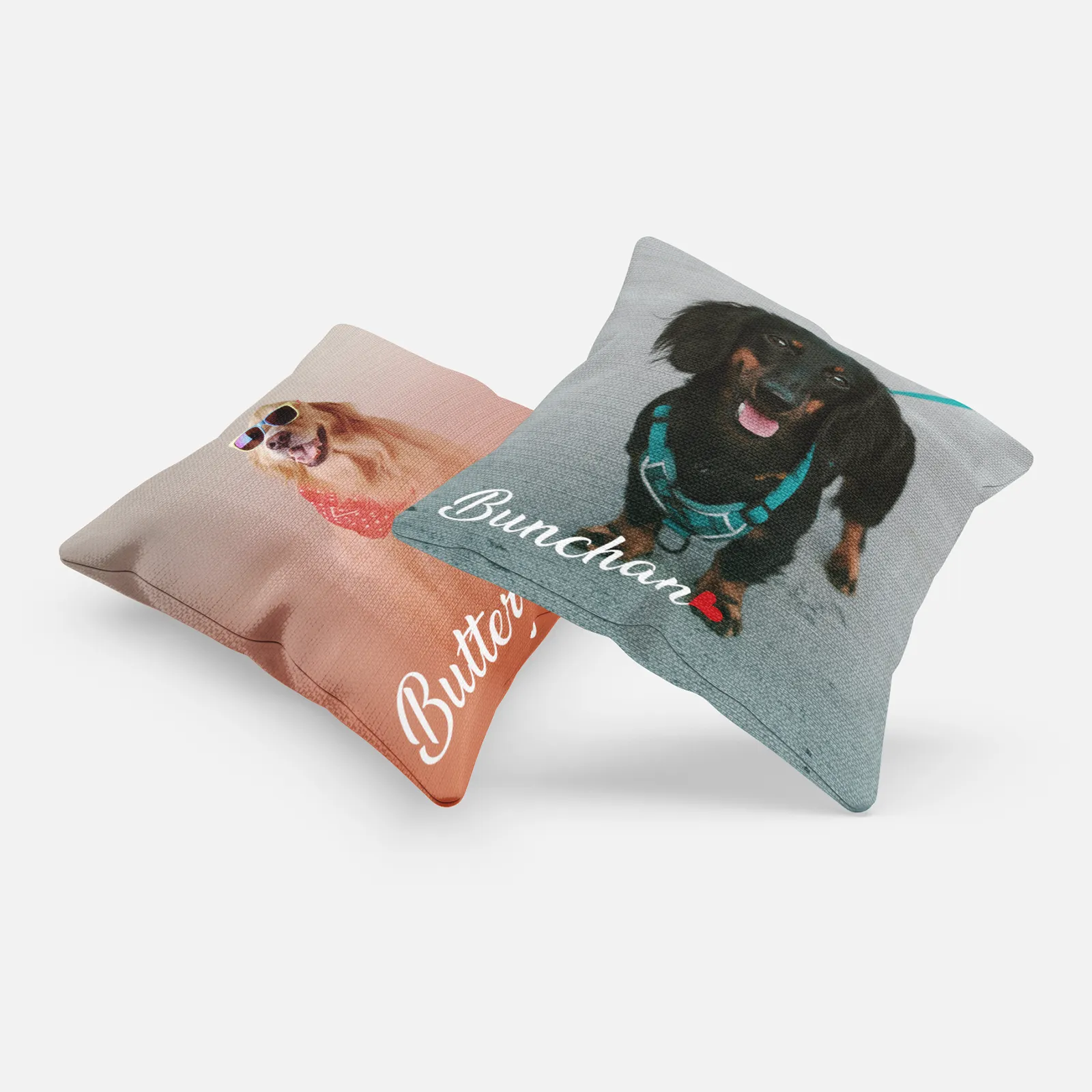 Pet Portrait with Name Photo Pillow