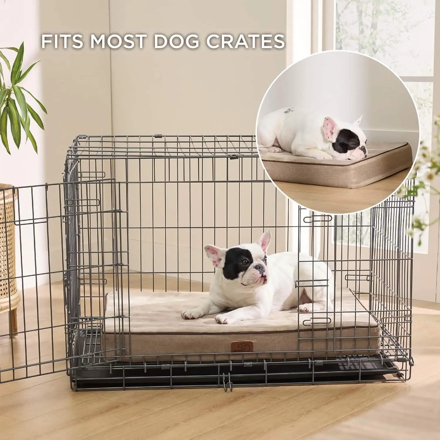 Plush Dog Bed