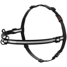 ProCare Training Harness