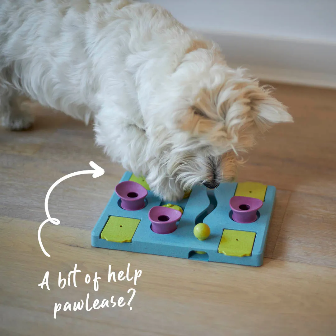Rectangle Rumble Interactive Puzzle Cat Toy