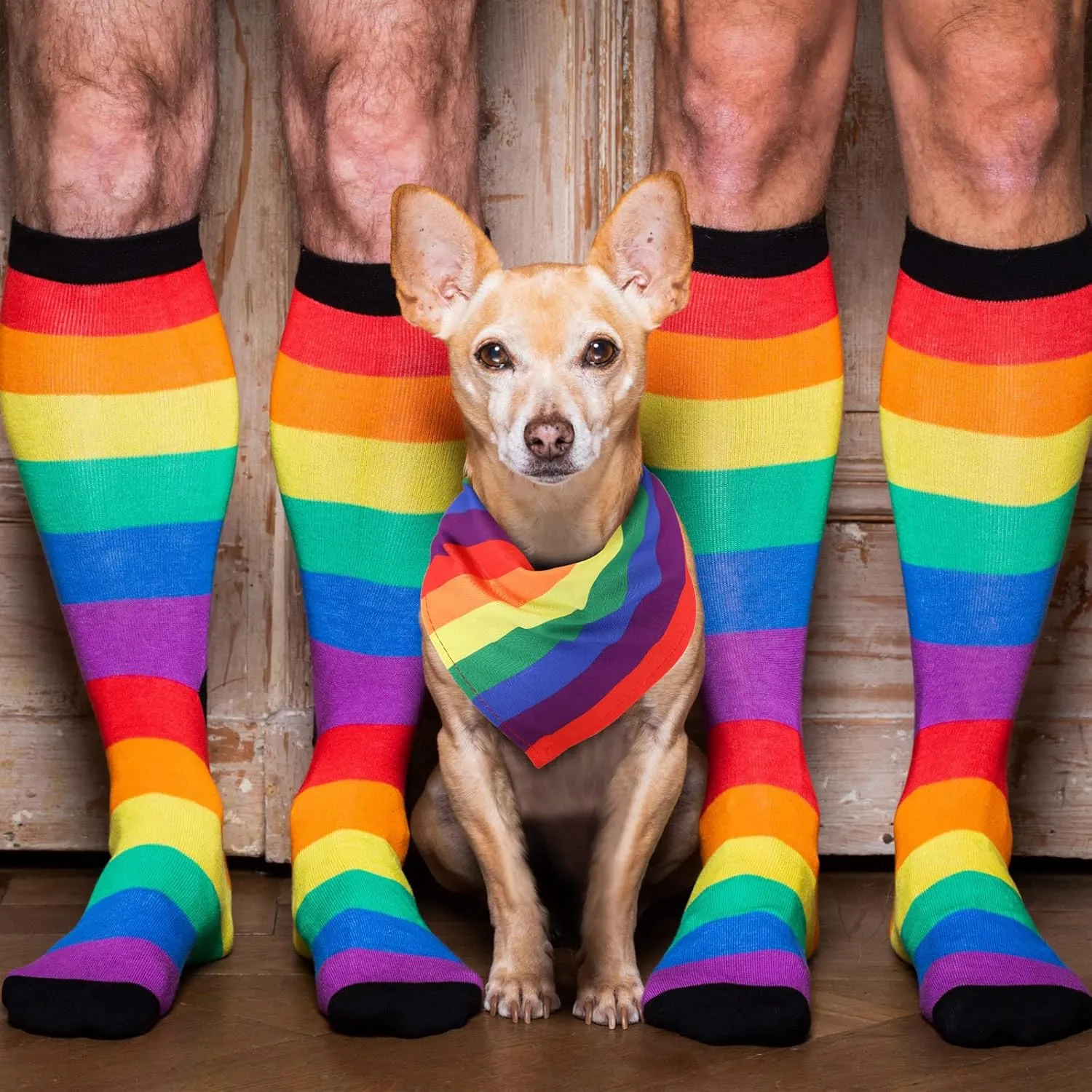 Silkfly 50 Pieces Rainbow Dog Bandanas Bulk Pride Dog Bandanas Scarf Accessories for Small Medium Large Pet Costume Accessories Decoration(25.6" X 17.7" X 17.7")