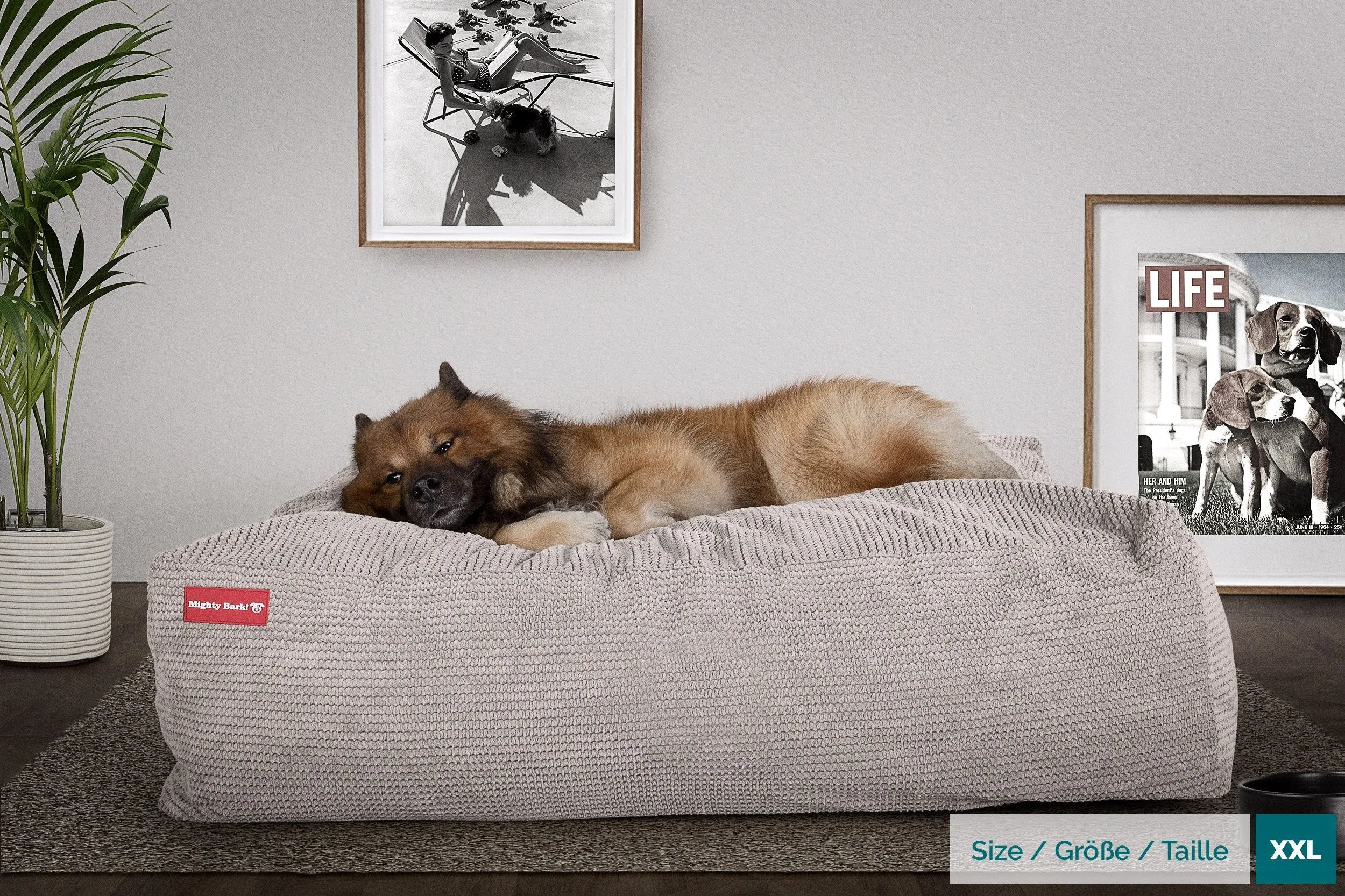 The Crash Pad  - Memory Foam Dog Bed - Pom Pom Mink