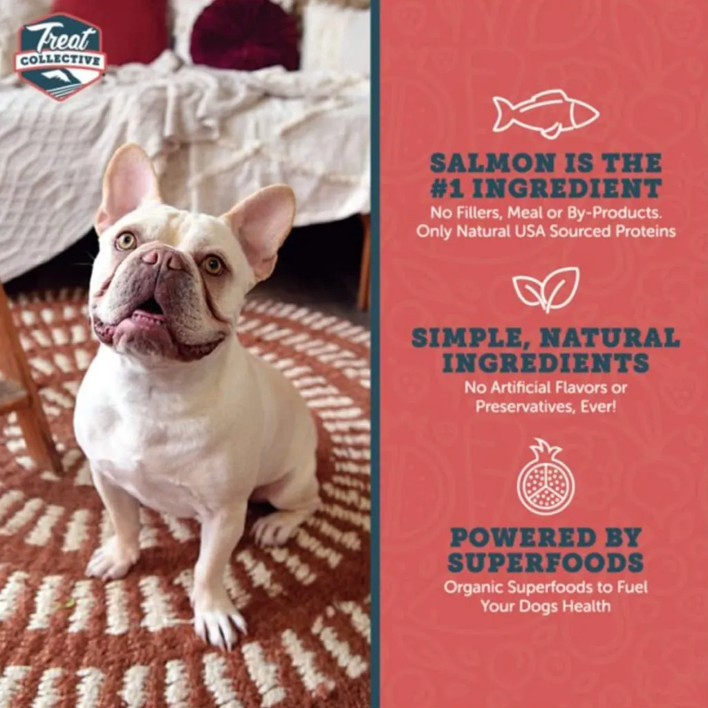 Treat Collective Salmon   Pomegranate Training Dog Treats (9 oz)