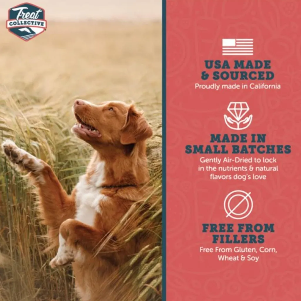 Treat Collective Salmon   Pomegranate Training Dog Treats (9 oz)