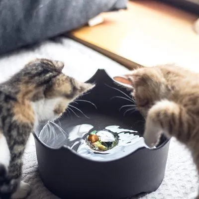 VitaJuwel CrownJuwel Modern Pet Bowls