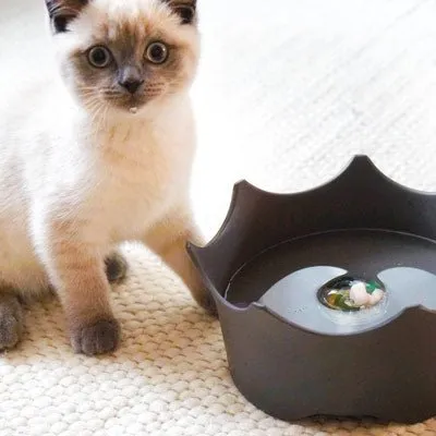 VitaJuwel CrownJuwel Modern Pet Bowls