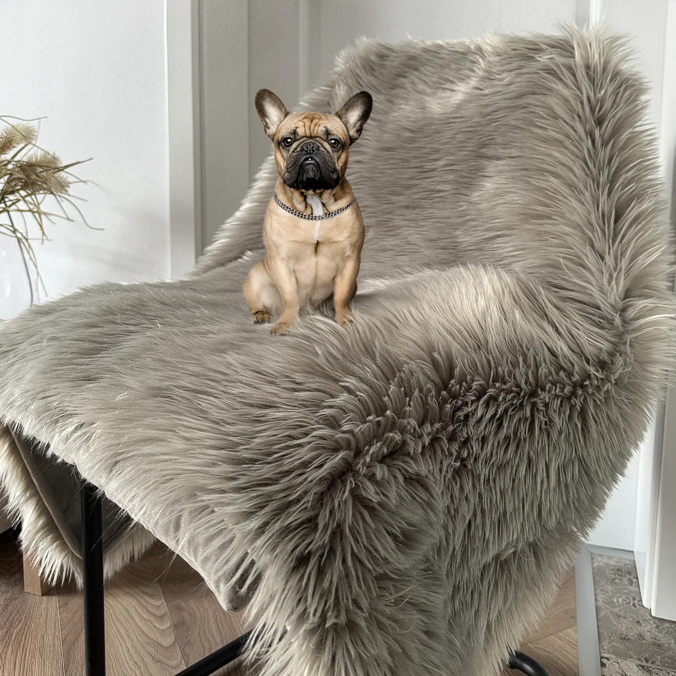 Waterproof Dog Blanket, Plush Throw for Sleeping, Whelping, and Comfort