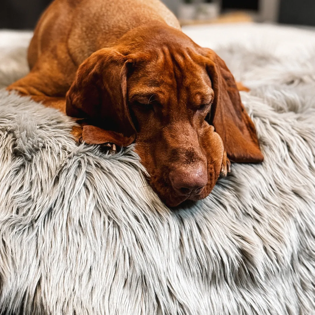 Waterproof Dog Blanket, Plush Throw for Sleeping, Whelping, and Comfort