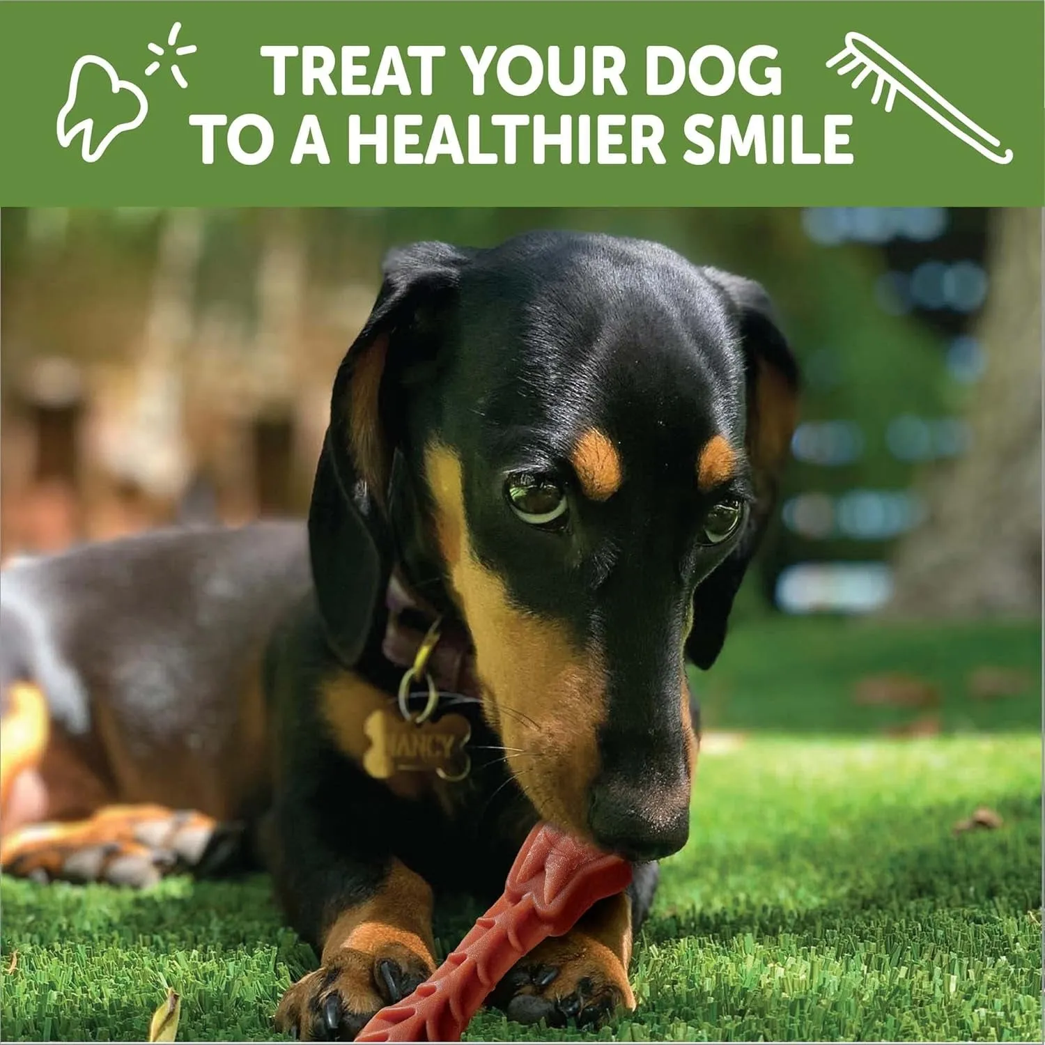 WHIMZEES Dog Treats - Vet Recommended Dental Chews, All-Natural Ingredients, 48 Count